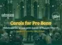 2026 Carols   Launch Graphic 148 X 105 Mm