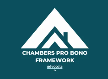 LinkedIn Launch GIF The Chambers Pro Bono Framework 1
