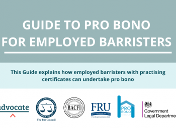 Guide to Pro Bono for the Employed Bar