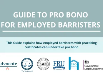 Employed Bar Guide Graphic