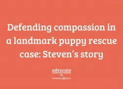 Stevens App Story Graphic 