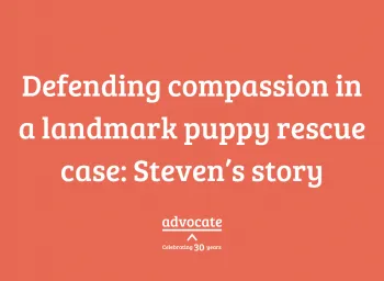 Stevens App Story Graphic 