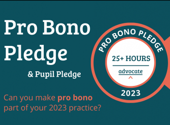 Pro Bono Pledge - Can you pledge 25 hours of pro bono in 2023?