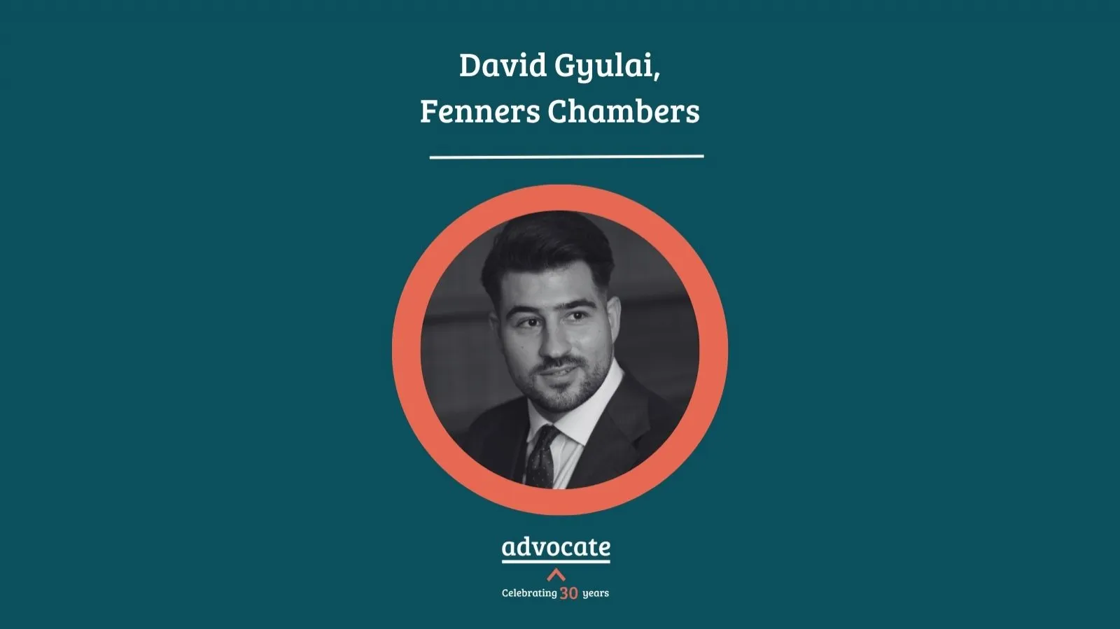 David Gyulai  Barrister Story 1