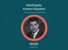 David Gyulai  Barrister Story 1