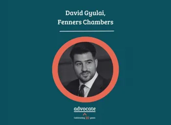 David Gyulai  Barrister Story 1