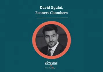David Gyulai  Barrister Story 1